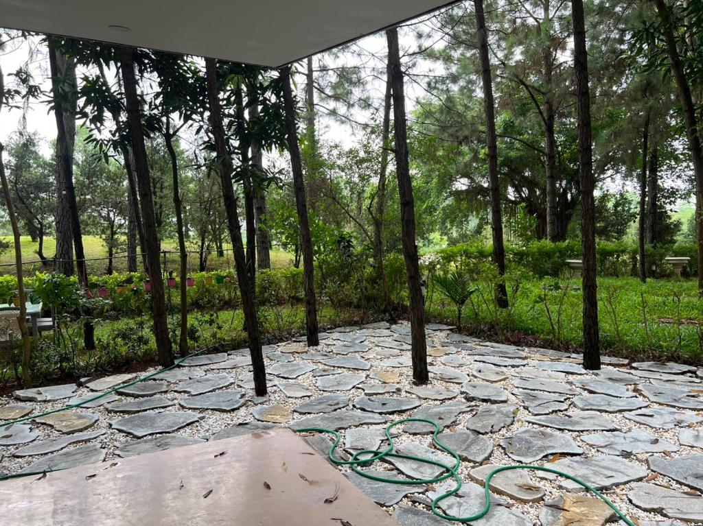 Forest Villa Flamingo Dai Lai