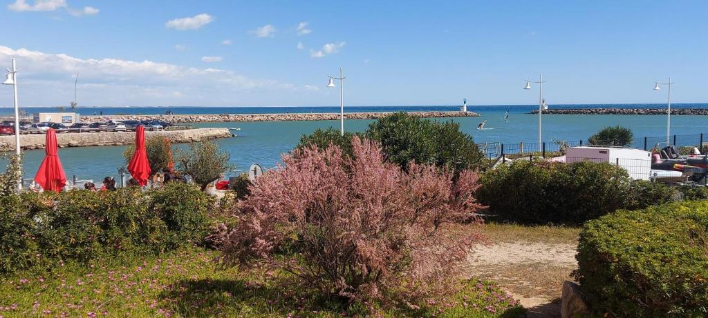 T3 Carnon, 1ère ligne 50m plage terrasse parking