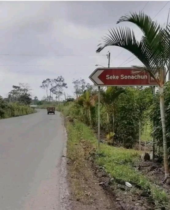 Seke Sonachun