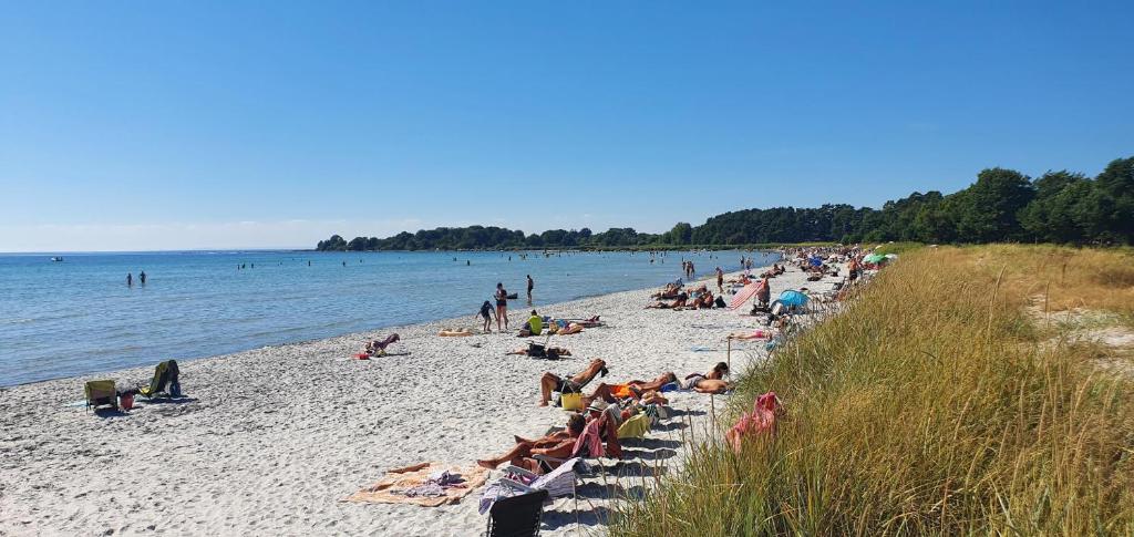 Njut av solen, havet, stranden! photo 1