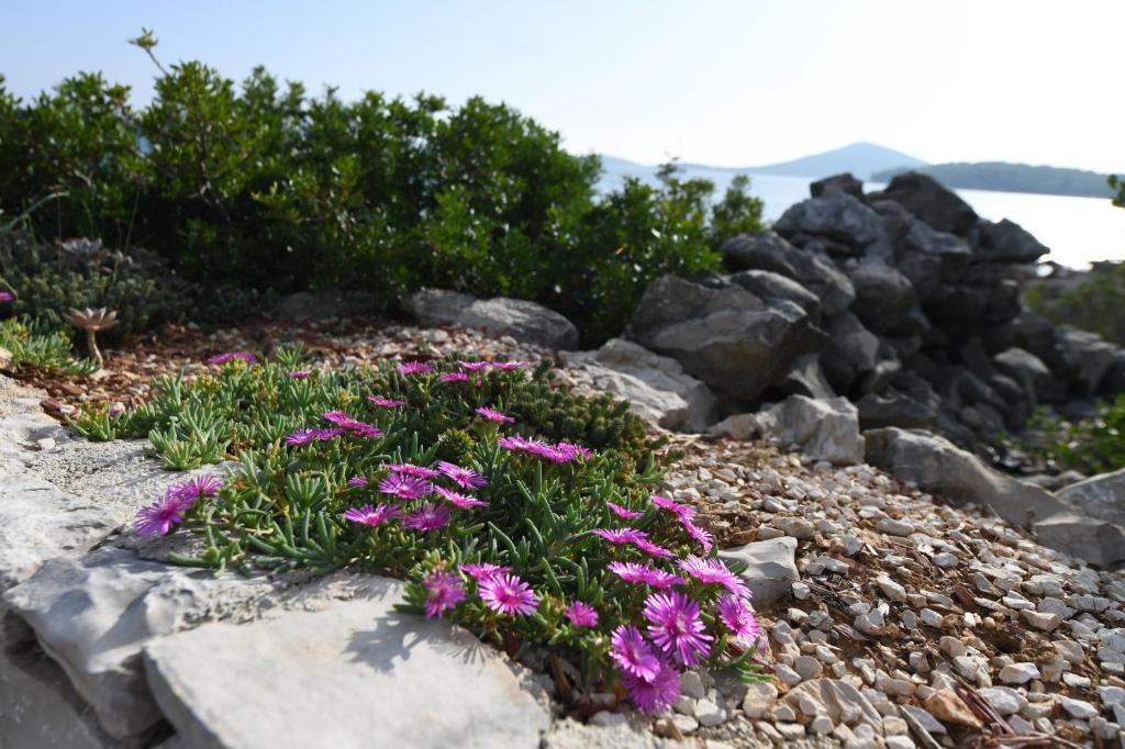 Beach House Marina Grande photo 4