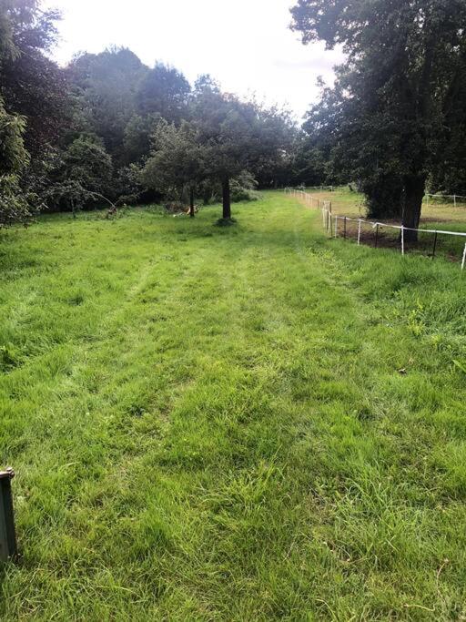 La Forêt Auvray - Maison de campagne photo 1