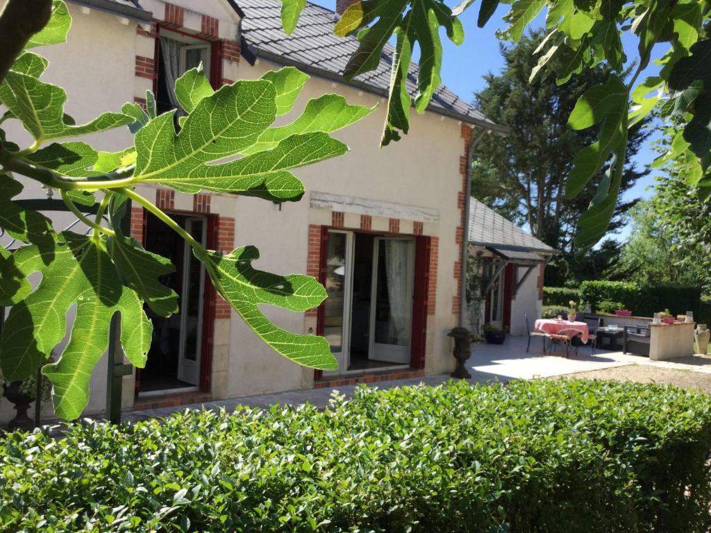 Gîte Bouges-le-Château, 3 pièces, 6 personnes - FR-1-591-160 photo 3