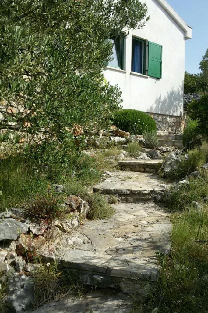 Secluded fisherman's cottage Cove Zincena, Pasman - 12982 photo 1