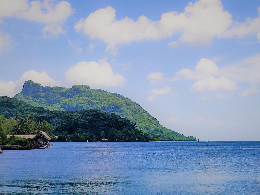 HUAHINE - Tipanier House photo 3