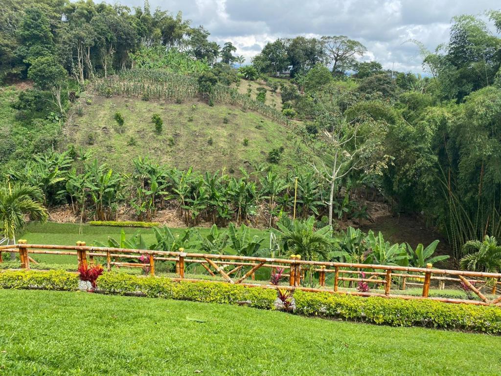 Finca La Perla photo 4