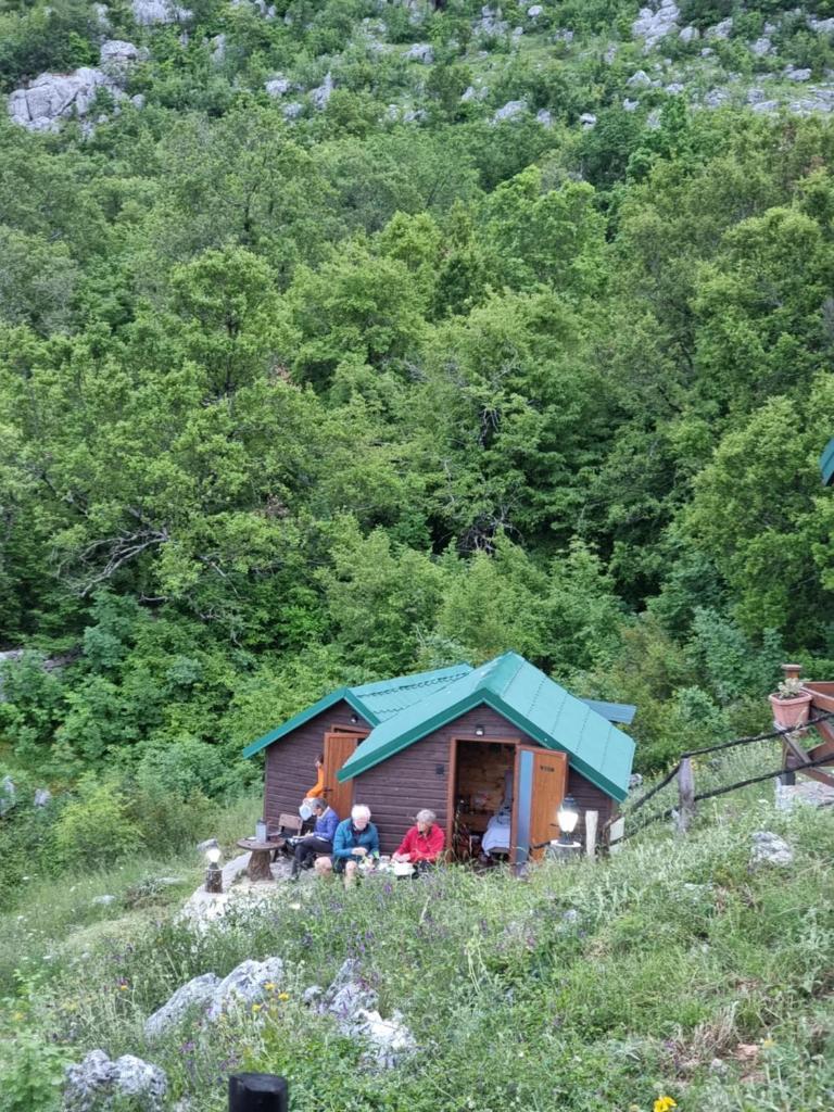 Livari Viewpoint photo 1