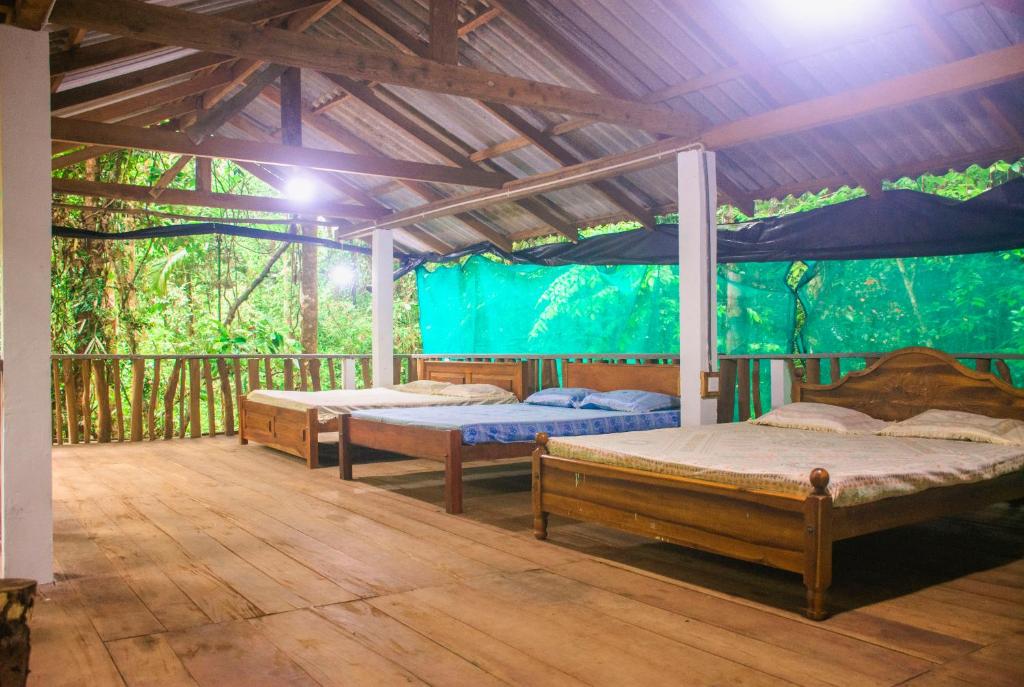 Rock Pool Eco Lodge photo 1