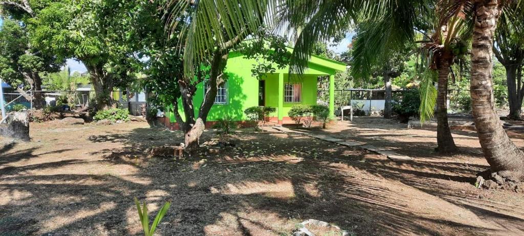 Hospedaje Tropical Dreams photo 2