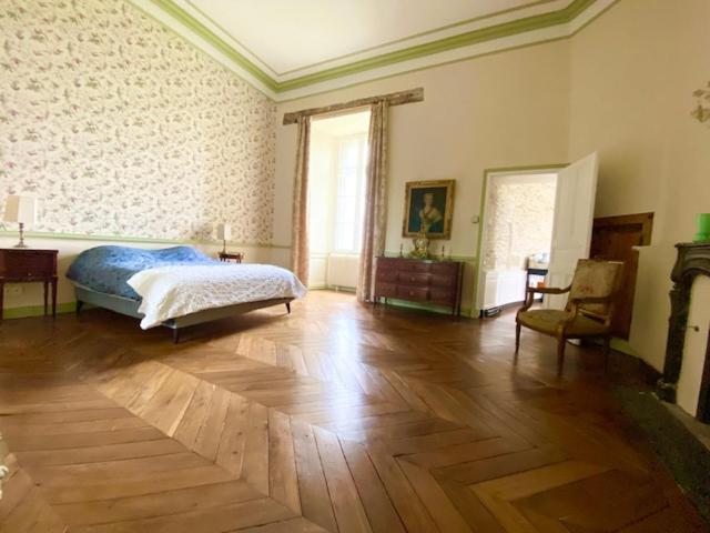 La Chambre Verte - Château de la Chauvelière photo 1