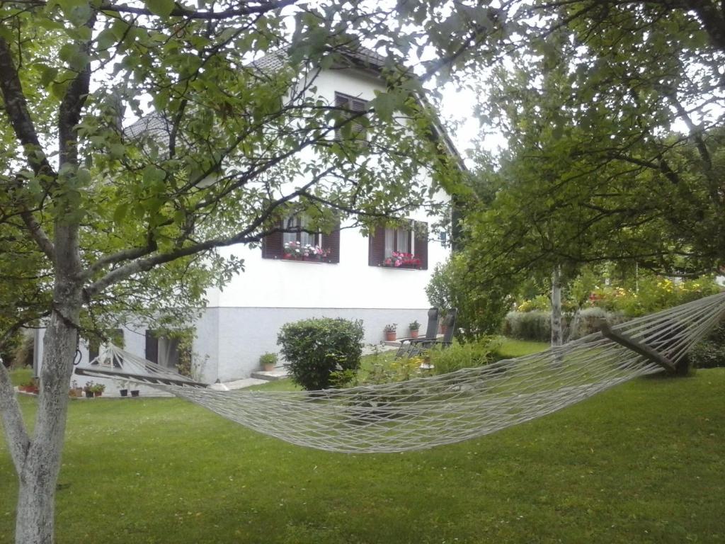 House Nina photo 2