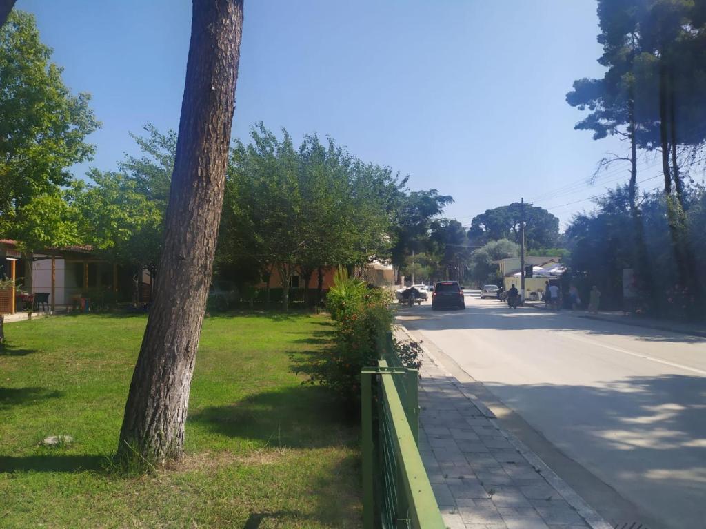 Vila7 divjake photo 1