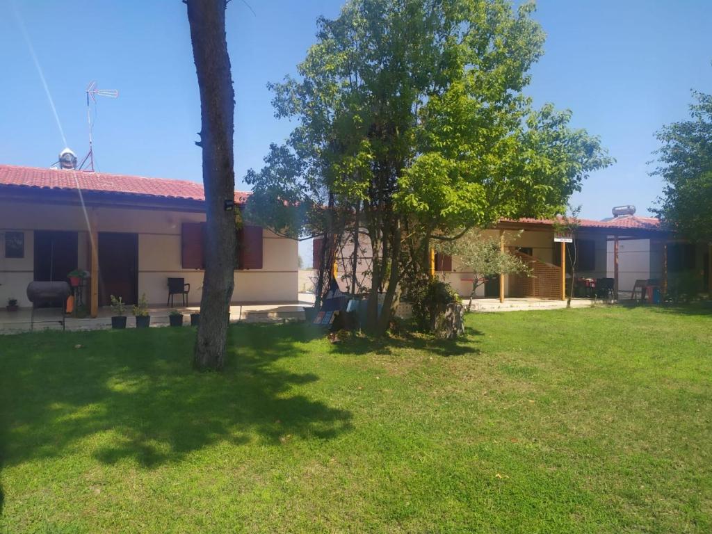 Vila7 divjake photo 2