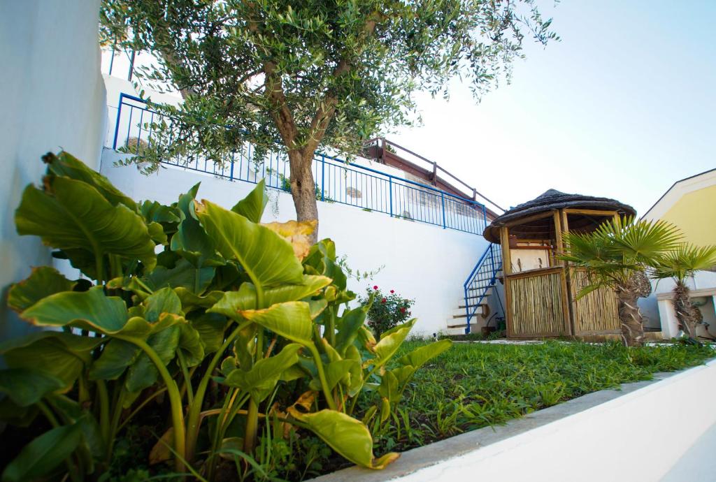 Fermata 135 B&B photo 3