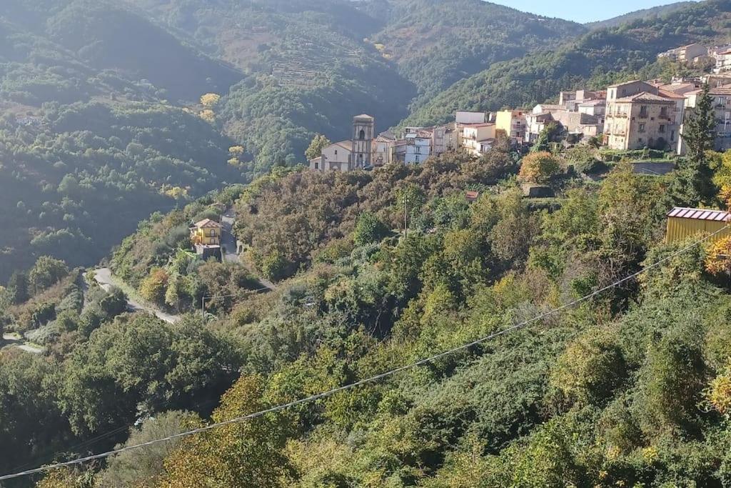 comodo e rilassante photo 3