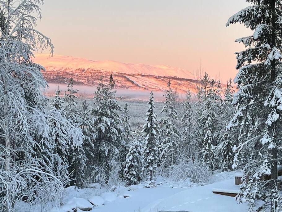Trysil - stor hytte med plass til storfamilien photo 1