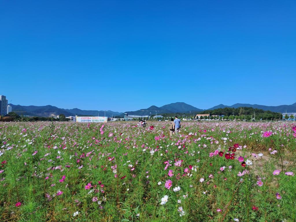 Iryang Stay photo 1