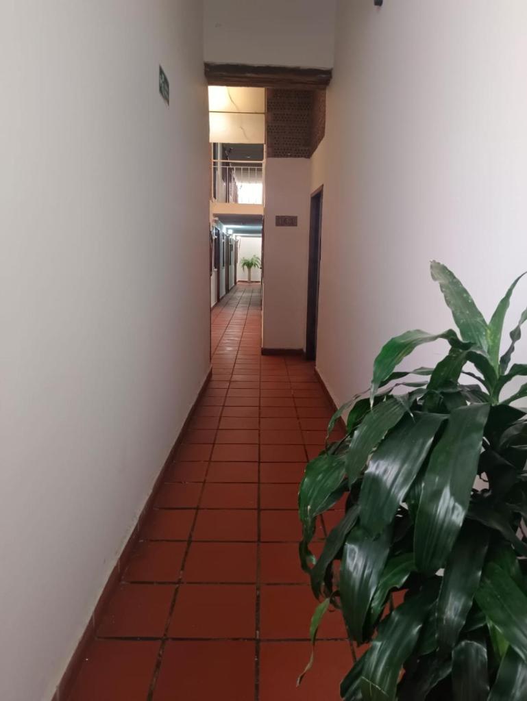 HOGAR DE PASO GUARACAO photo 3