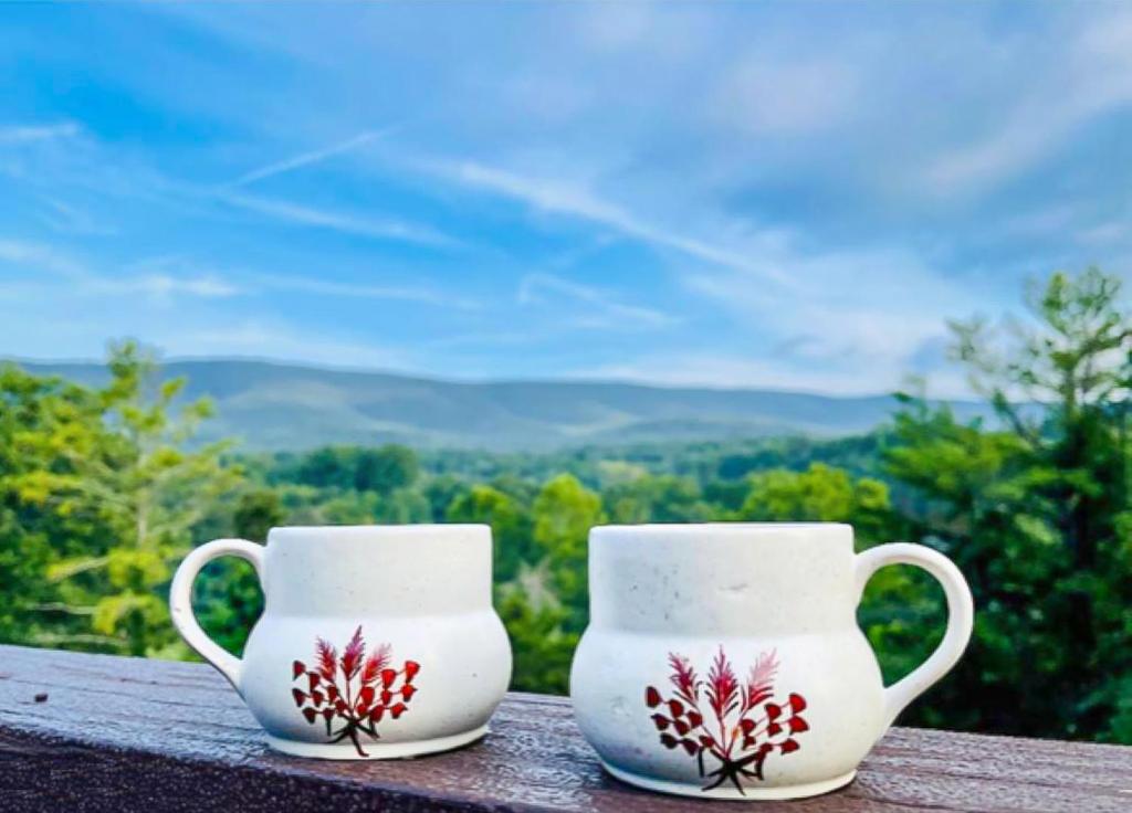 No Dog Fees - Dog Friendly 3BR 2BA with Loft and Mountain Views - Near Bryce Resort in Basye, VA photo 1
