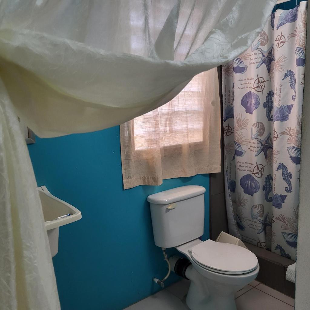 Hacienda Tropical Guest House photo 2