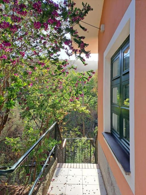 Casa Marina - Tenuta Calano photo 3