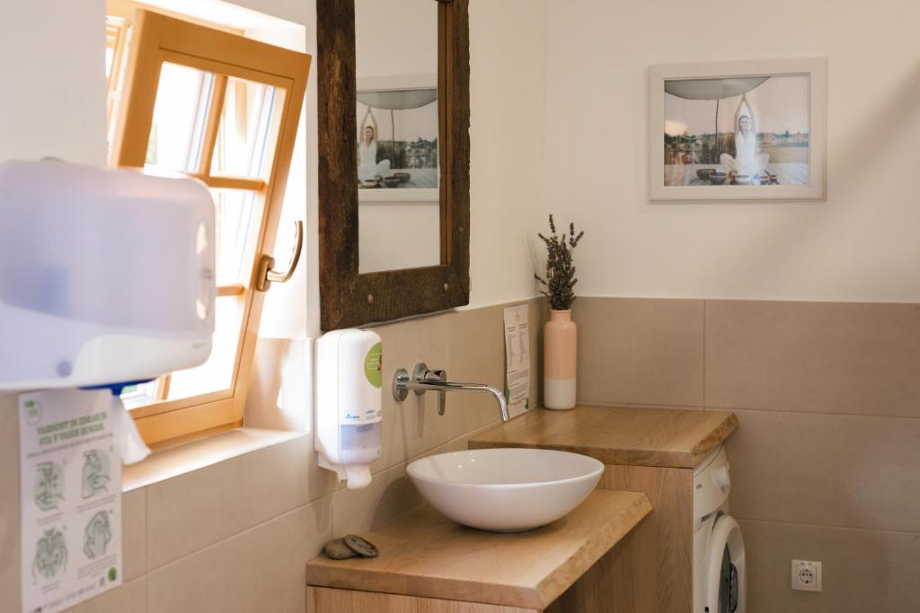 Glamping Kolpa Resort photo 4