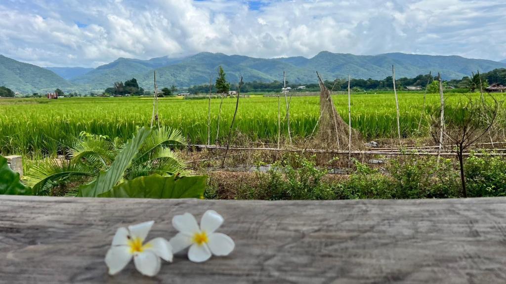 Dee Tor Jai Farm Stay ดีต่อใจฟาร์มสเตย์ photo 3