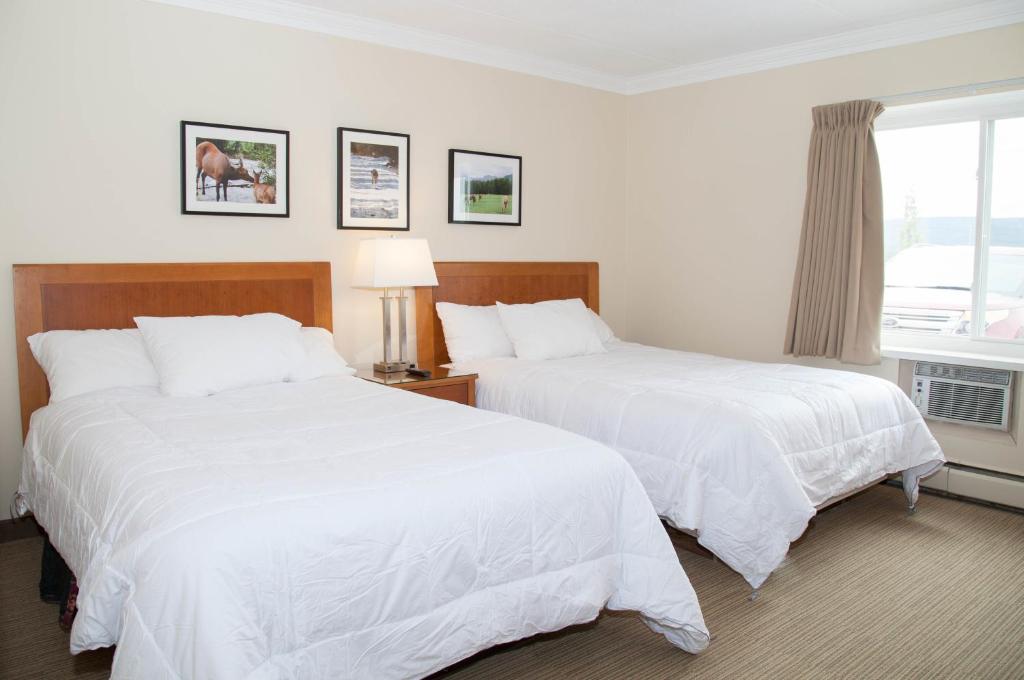 Twin Pine Inn & Suites photo 1