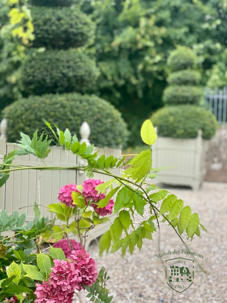 Manoir des Pavements photo 3
