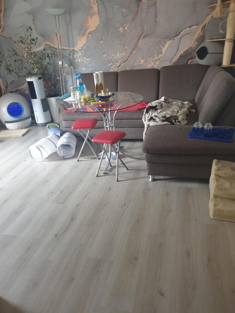 Gästezimmer bei Katzenliebhaberin und Chihuahua photo 1