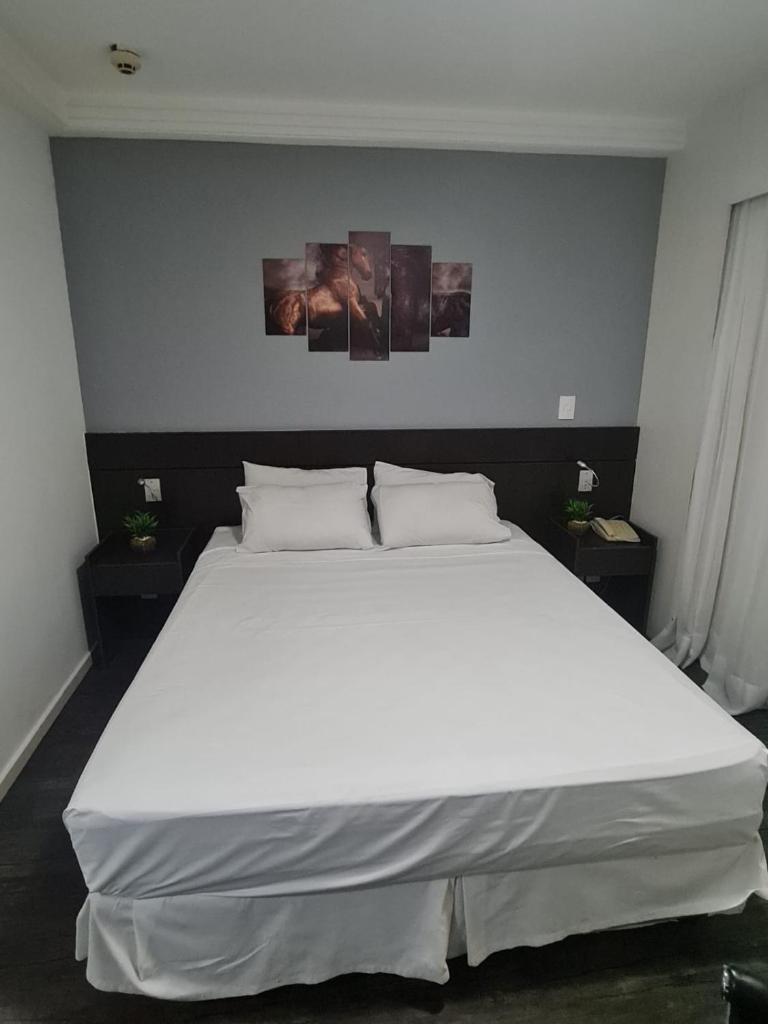 Suites Pampulha Hotel photo 1
