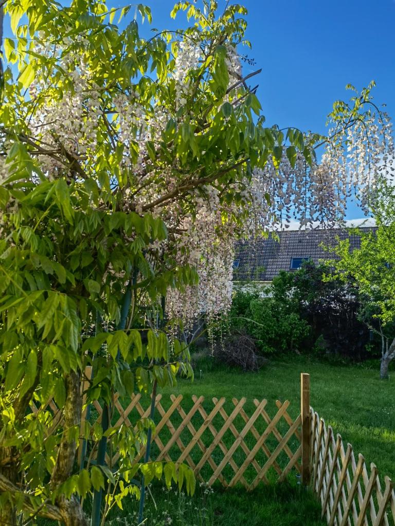 Exquisite tiny house with garden and air con - between Paris-Disneyland - 3mins from train station photo 2