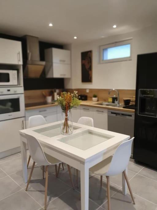 appartement f3 eurexpo groupama stadium meyzieu centre