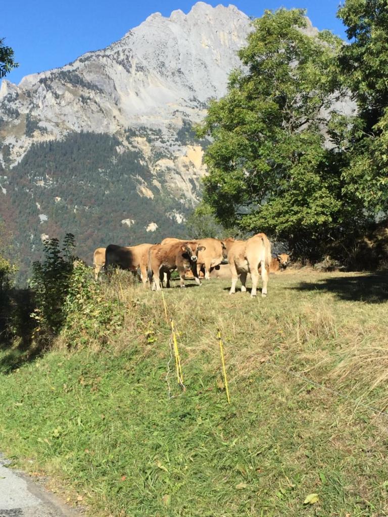 chalet st michel de maurienne photo 3