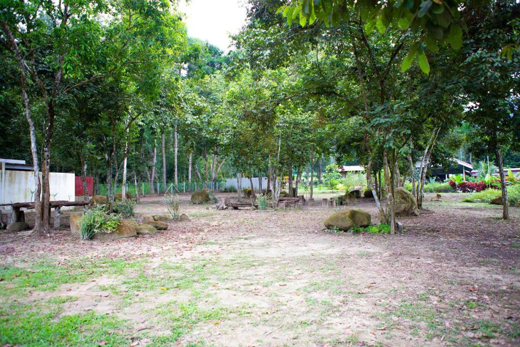 CAMPSITE CMM YAN KEDAH photo 1