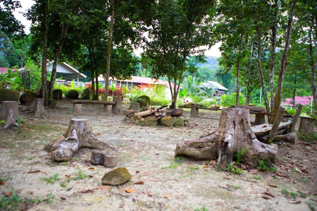 CAMPSITE CMM YAN KEDAH photo 2