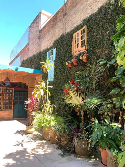 Casa Jardin photo 3