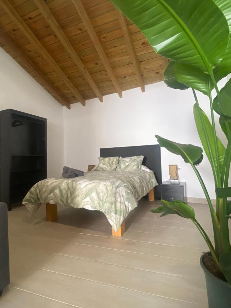 Apartamentos Algodonales photo 1