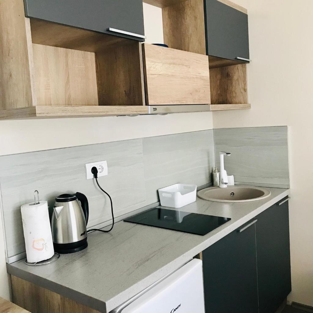 Apartmani SOVA photo 3