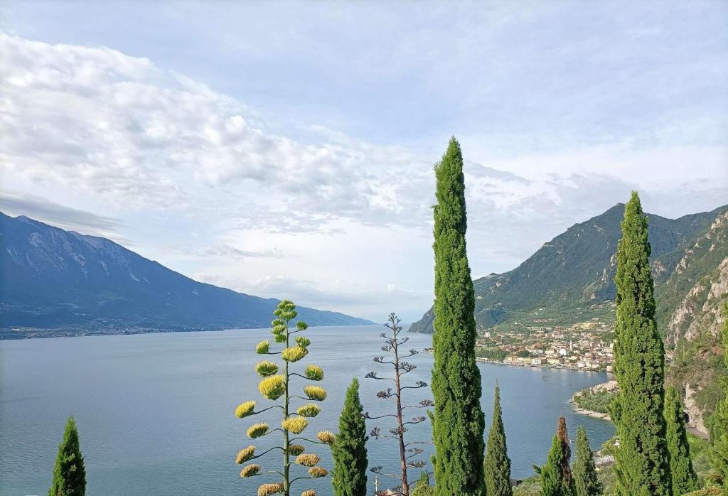 Centro Vacanze La Limonaia photo 3