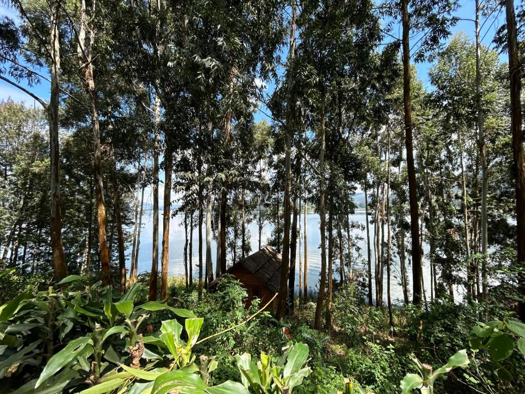 Itambira Island, Seeds of Hope photo 2