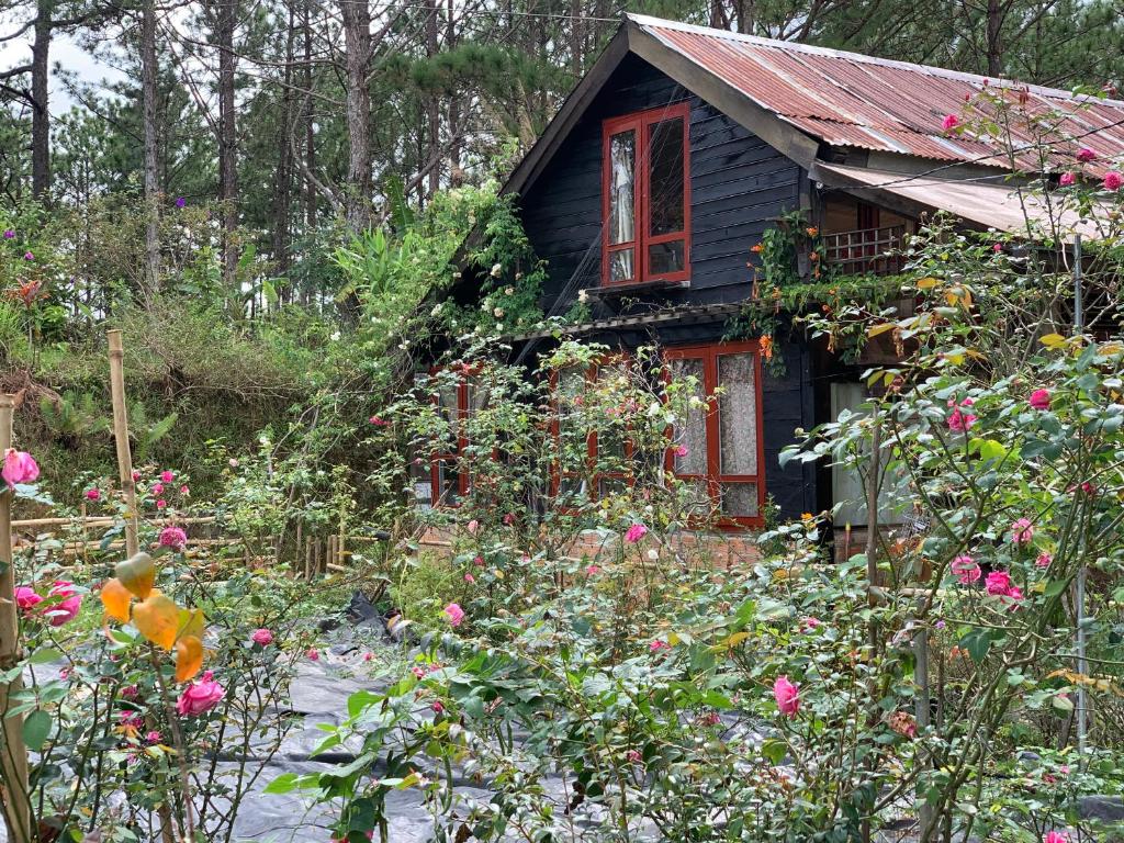 Romantic house on a pine hill 2