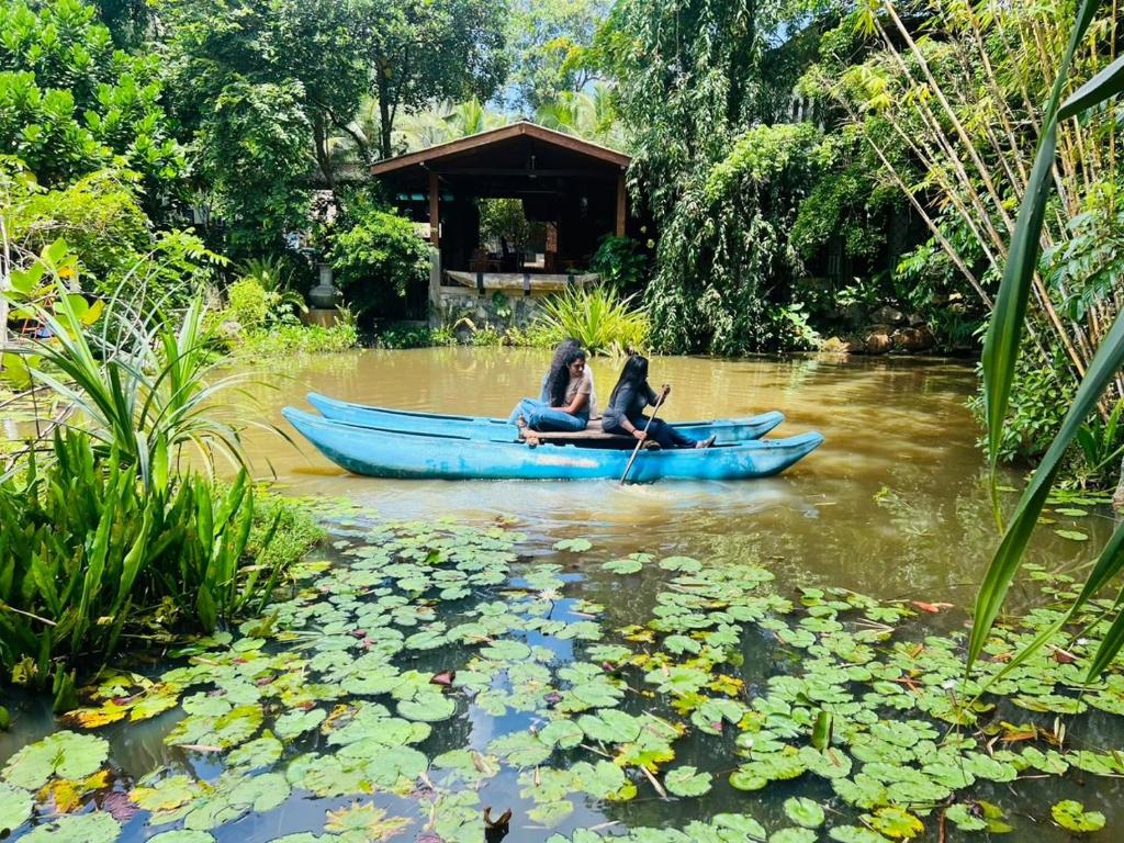 Radawana Wasala Nature Resort photo 2