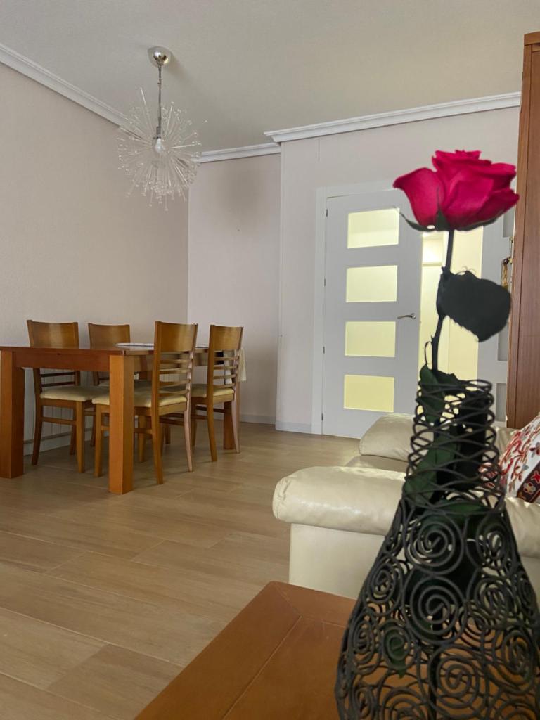 Apartamentos Plaza del Arco photo 3
