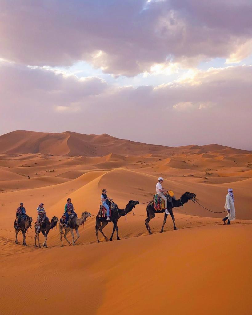 All Inclusive Desert Overnight With Camel Ride photo 4