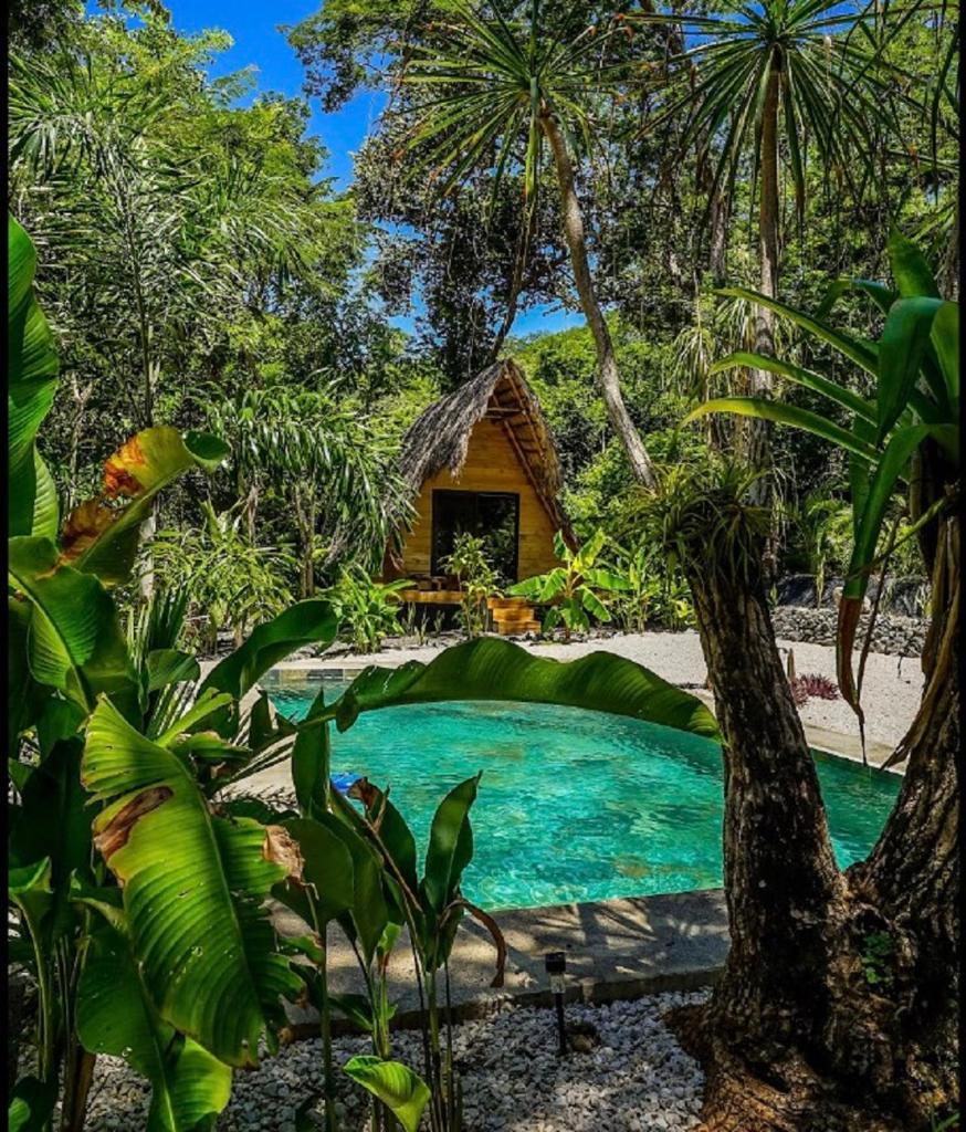 Cabinas de Lou Eco Lodge TAMARINDO