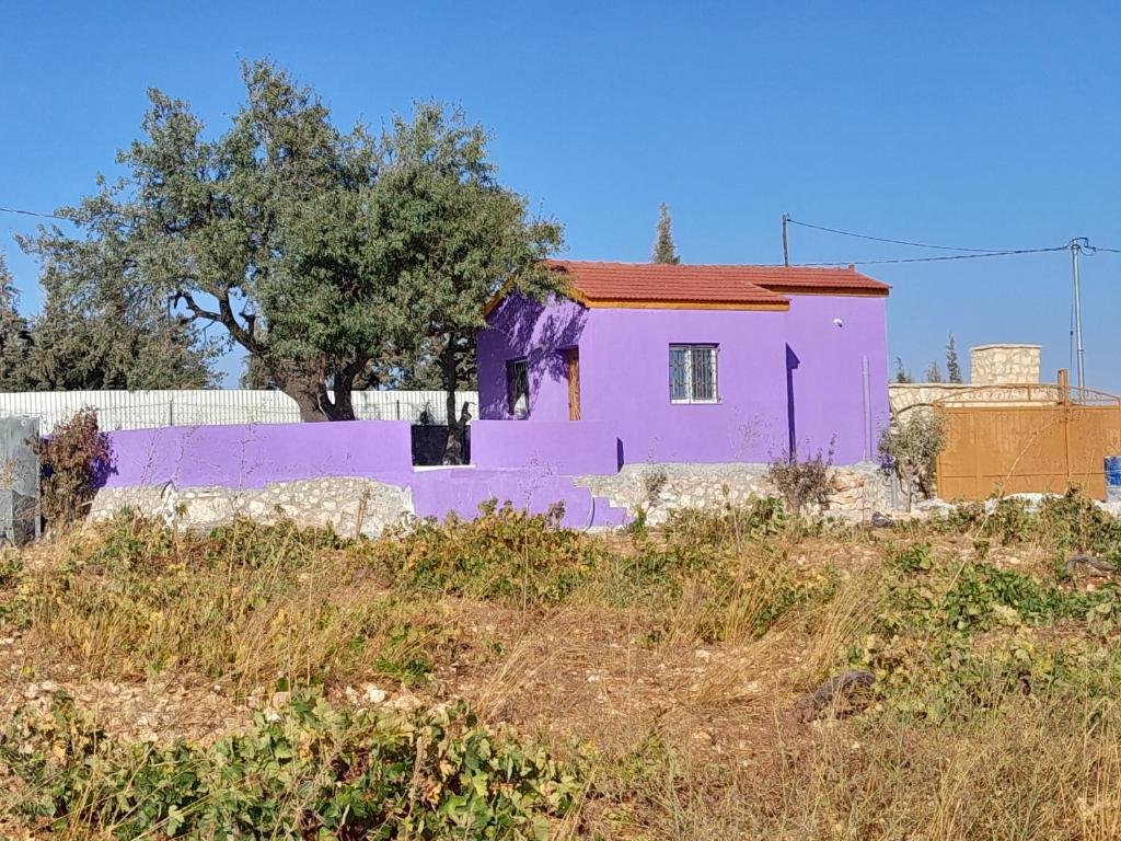 Jerash mountain studio chalet شاليه جبال جرش و عجلون photo 1