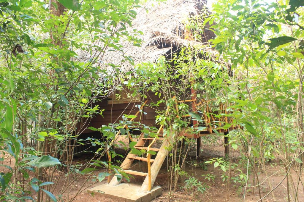 Forest Camping Tree House photo 1