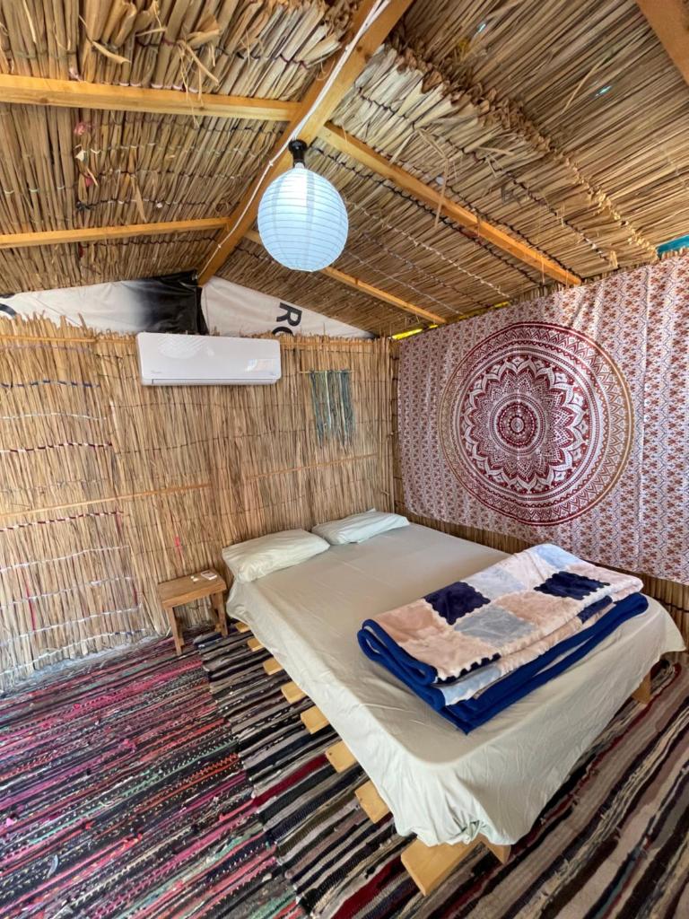 Alwaha Camp photo 4