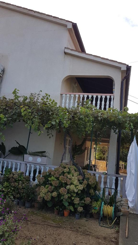 Apartmani Roza Lopar photo 3